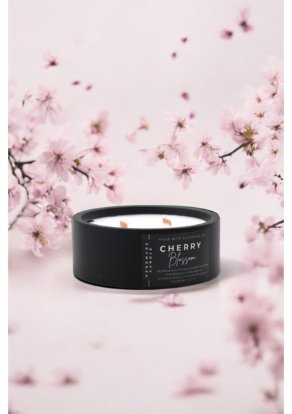 Çift Ahşap Fitilli Japon Kiraz Çiçeği Kokulu %100 Soya Wax Beton Siyah Mum fırsatları