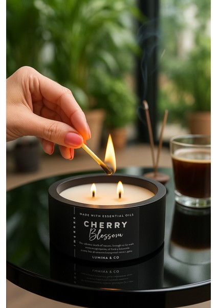 Çift Ahşap Fitilli Japon Kiraz Çiçeği Kokulu %100 Soya Wax Beton Siyah Mum