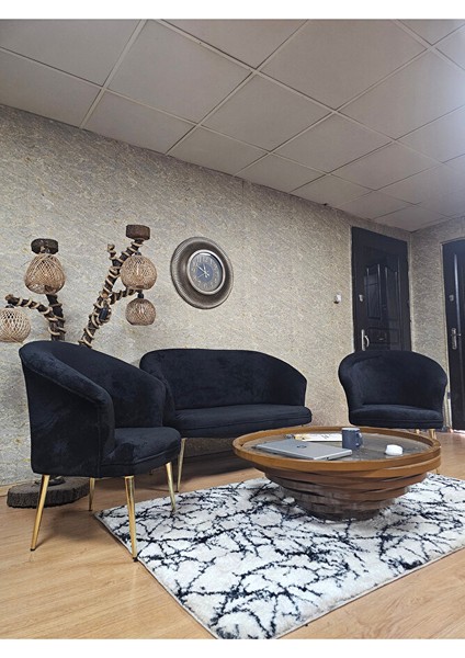 Teddy Takım Gold Kaplama Sivriltme Ayak Çay Seti Koltuk - Berjer , Balkon, Salon, Ofis Siyah Renk 40 x 125 Boyut/ebat modelleri