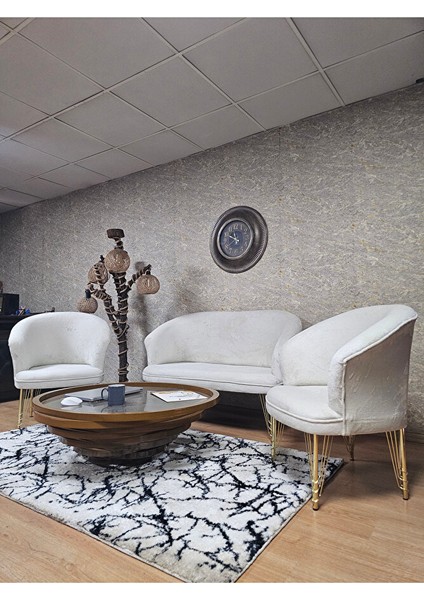 Teddy Takım Gold Kaplama Telli Ayak Çay Seti Koltuk - Berjer , Balkon, Salon, Ofis Krem Renk 40 x 125 Boyut/ebat fırsatları