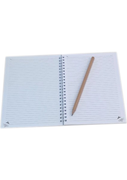 Kedi Severlere Özel Çizgili Okul Defteri(2 Ad.) fiyatları