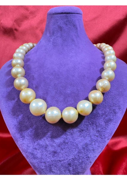 Inci Kolye fiyatları