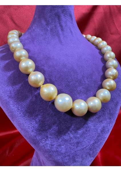 Inci Kolye fırsatları