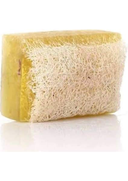 Doğal Kabak Lifli Kükürt Sabunu fiyatları