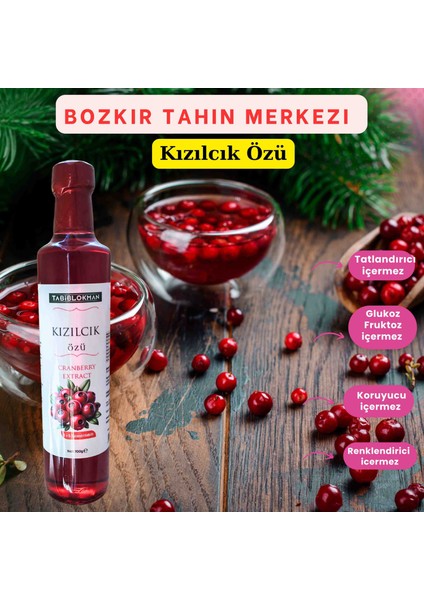 Bozkır Tahin Merkezi Kızılcık Özü 700 gr (Katkısız & Soguk Pres)