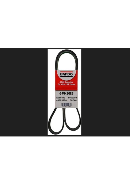 Kanalli Kayiş Dpmah