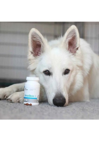 Vetexpert Vetoskin 90 Kapsül Kedi&köpek Tüy ve Deri Destekleyici fiyatları