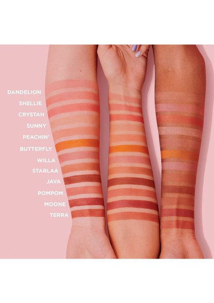 Mini Moone Allık - Rich Berry 2,5 gr (Blush) modelleri