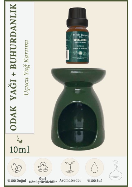 Odaklanma ( Focus ) Uçucu Yağ Karışımı, Özel Seri, 10 ml ve Buhurdanlık