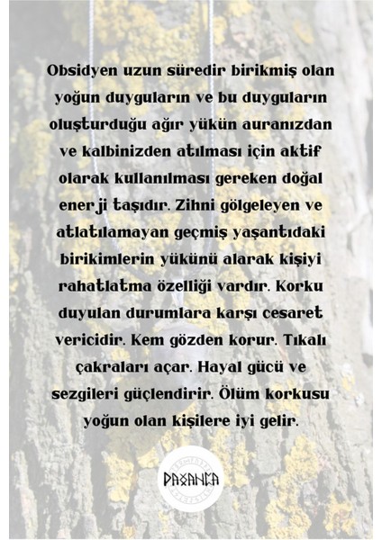 Obsidyen Tamburlu Doğal Taş Spiritüel Enerji Kolye