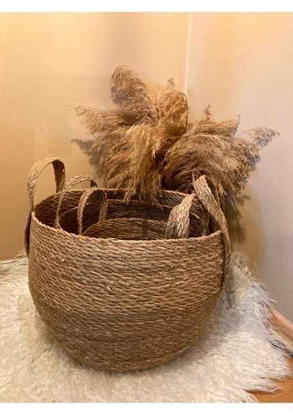 3'lü Kulplu Tombul Hasır Sepet / Saksılık / Düzenleyici