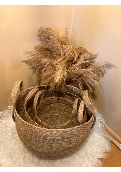 3'lü Kulplu Tombul Hasır Sepet / Saksılık / Düzenleyici fiyatları