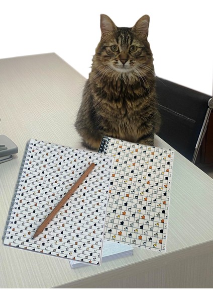 Okul Defteri 10 Lu Set(5kareli+5çizgili)