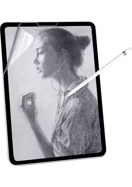 iPad Air 3 10.5 Uyumlu Kalem ve Mat Ekran Koruyucu Dokunmatik Kalem