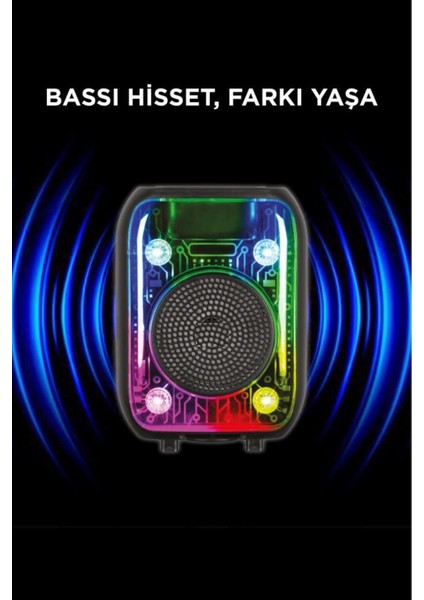 D66 Siyah Kablolu Mikrofonlu Bluetooth Hoparlör modelleri