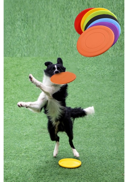 Dayanıklı Silikon Frizbi Köpek Oyuncağı Esnek ve Güvenli Yakalama Oyunu Diski 17.5 cm 1 Adet