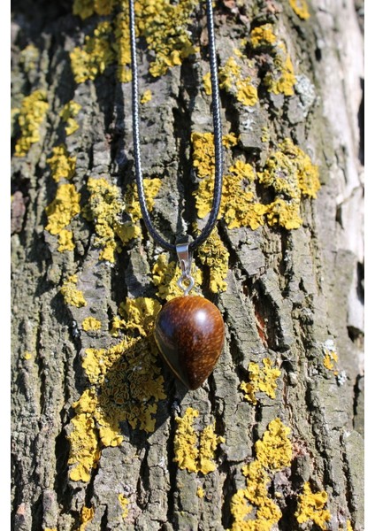 Kaplan Gözü Spiritüel Enerji Kolye fiyatları