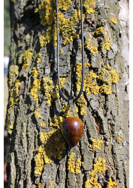 Kaplan Gözü Spiritüel Enerji Kolye modelleri