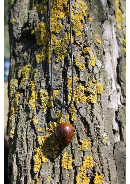 Kaplan Gözü Spiritüel Enerji Kolye