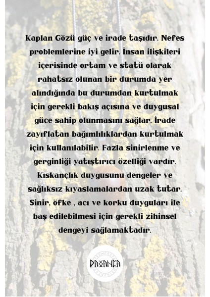 Kaplan Gözü Spiritüel Enerji Kolye