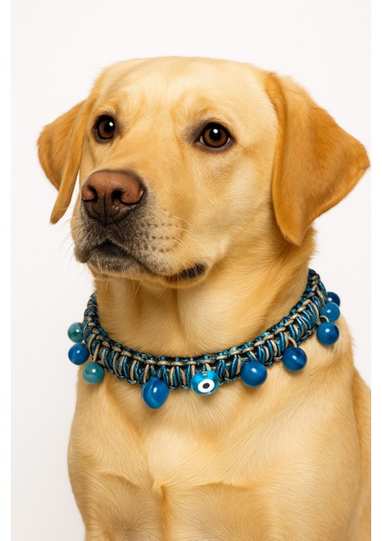 Okyanus Kuçi-Kuçiko Çok Renkli Boncuk ve Nazarlık Detaylı Kedi Köpek Kolyesi fiyatları