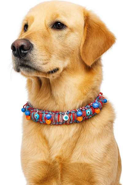 Kuçiko Çok Renkli Boncuk ve Nazarlık Detaylı Köpek Kolyesi (3 Kat Daha Geniş ve Daha Boncuklu)