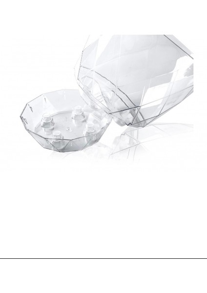 2 No Orkide Saksı Yakamoz ROYALEKS-KRS-462 modelleri