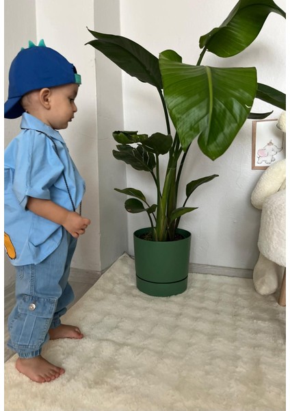 Yan Cepli Erkek Çocuk Kot Pantolon fırsatları