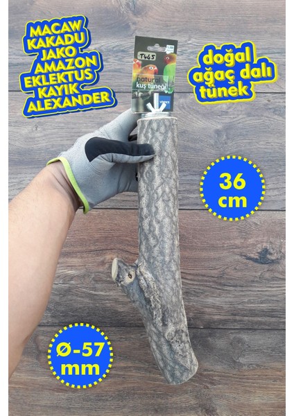Venty Doğal Papağan Tüneği 36 cm - Çapı 57 mm | Macaw, Kakadu, Jako, Amazon, Eklektus, Kayık, Alexander - T445