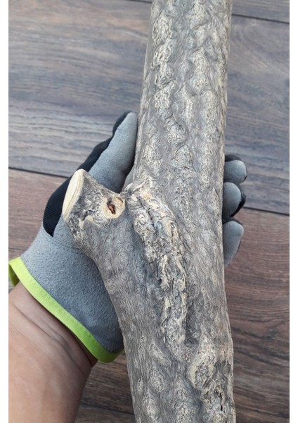 Venty Doğal Papağan Tüneği 36 cm - Çapı 57 mm | Macaw, Kakadu, Jako, Amazon, Eklektus, Kayık, Alexander - T445 indirimleri