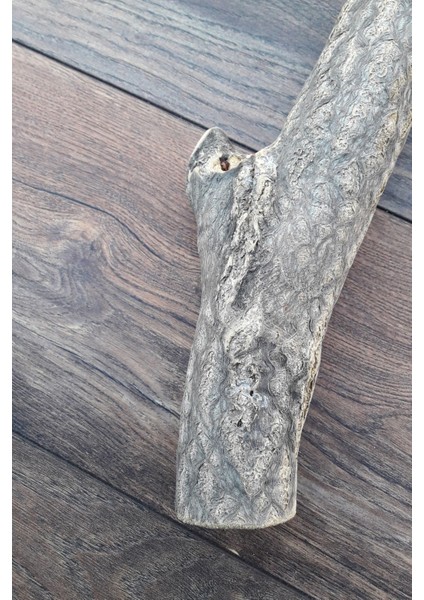 Venty Doğal Papağan Tüneği 36 cm - Çapı 57 mm | Macaw, Kakadu, Jako, Amazon, Eklektus, Kayık, Alexander - T445