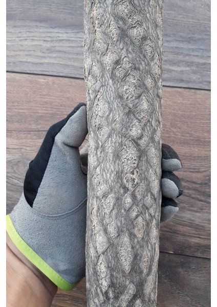 Venty Doğal Papağan Tüneği 25 cm - Ø Çapı 47 mm | Macaw, Kakadu, Jako, Amazon, Eklektus, Kayık, Alexander - T537 modelleri