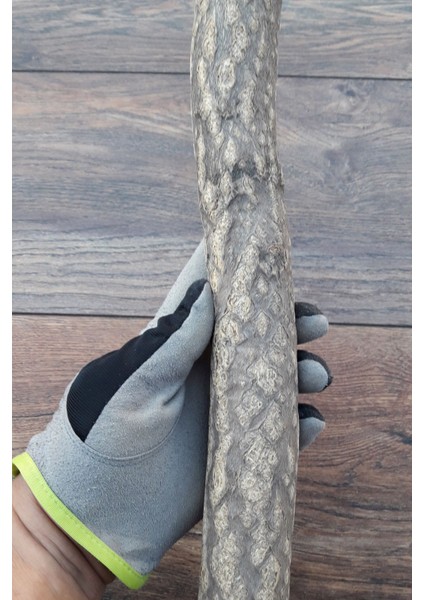 Venty Doğal Papağan Tüneği 39.5 cm | Macaw, Kakadu, Jako, Amazon, Eklektus, Kayık, Alexander - T103 modelleri