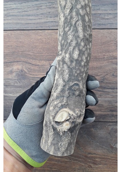 Venty Doğal Papağan Tüneği 39 cm - Çapı 48 mm | Macaw, Kakadu, Jako, Amazon, Eklektus, Kayık, Alexander - T402 modelleri