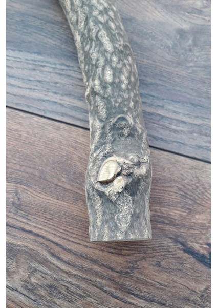 Venty Doğal Papağan Tüneği 39 cm - Çapı 48 mm | Macaw, Kakadu, Jako, Amazon, Eklektus, Kayık, Alexander - T402