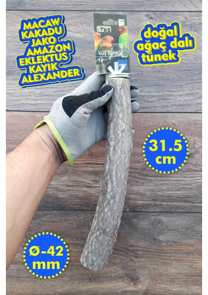 Venty Doğal Papağan Tüneği 31.5 cm - Ø Çapı 42 mm | Macaw, Kakadu, Jako, Amazon, Eklektus, Kayık, Alexander - T213