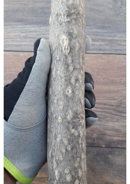 Venty Doğal Papağan Tüneği 31.5 cm - Ø Çapı 42 mm | Macaw, Kakadu, Jako, Amazon, Eklektus, Kayık, Alexander - T213 modelleri