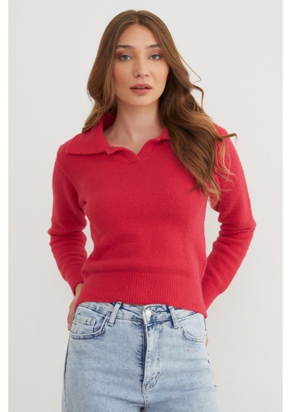 Basic Gömlek Yaka Sakallı Kazak