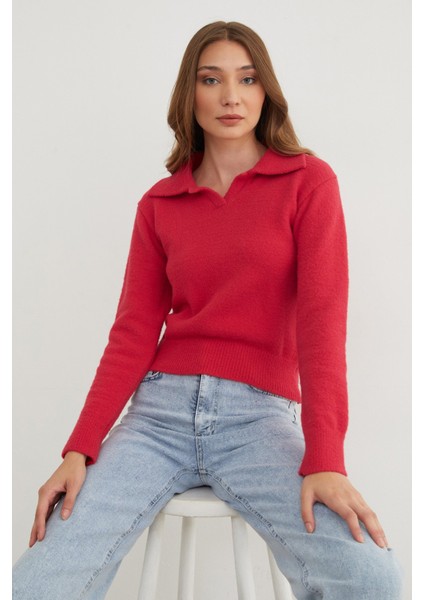 Basic Gömlek Yaka Sakallı Kazak fiyatları