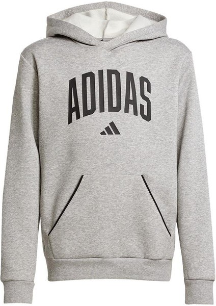 Çocuk Gri Sweatshirt J Clgt Oh Fl Hd JV7336