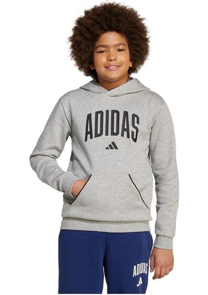 Çocuk Gri Sweatshirt J Clgt Oh Fl Hd JV7336 fiyatları