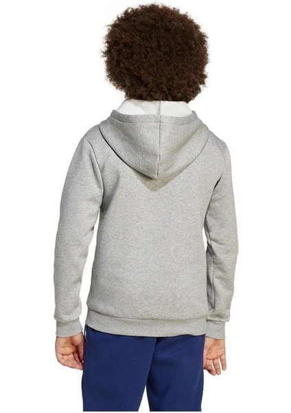 Çocuk Gri Sweatshirt J Clgt Oh Fl Hd JV7336 modelleri