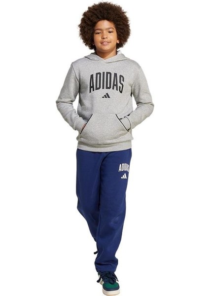 Çocuk Gri Sweatshirt J Clgt Oh Fl Hd JV7336 fırsatları