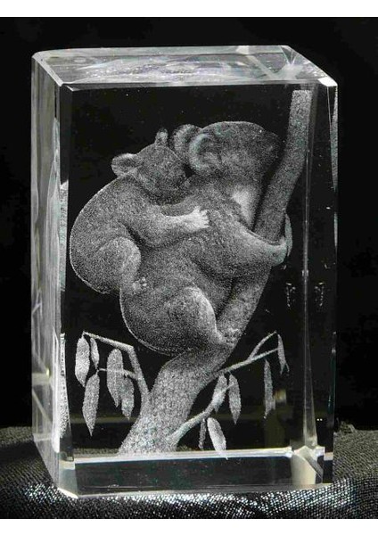 3D Kristal Koala Modeli