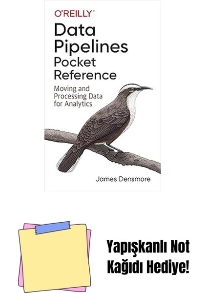 Data Pipelines Pocket Reference: Moving And Processing Data For Analytics + Yapışkanlı Not Kağıdı