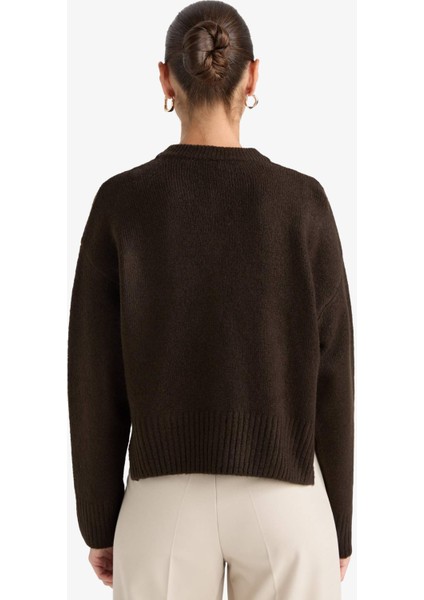 Regular Fit Bisiklet Yaka Düğmeli Triko Hırka F3031AX25WN