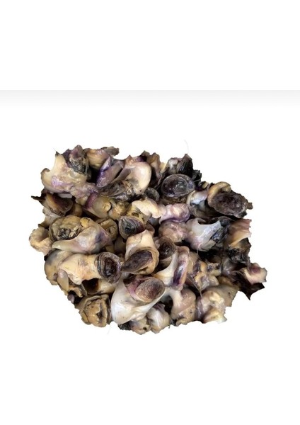 Kurutulmuş Madya Tüm Balıklar Için (50 Adet)