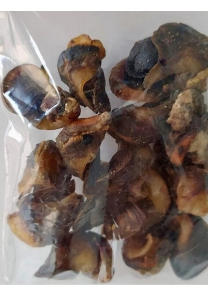 Kurutulmuş Madya Tüm Balıklar Için (50 Adet) fiyatları