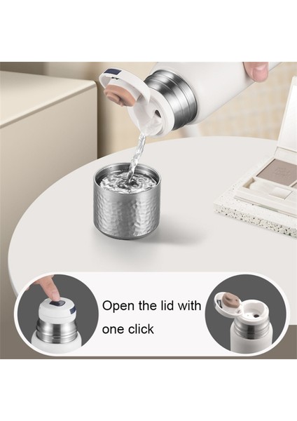 430 ml Çekiçle Dövülmüş Dokulu Kapaklı 316 Paslanmaz Çelik Yalıtımlı Su Şişesi ve Çay Süzgeci (Bpa Içermez, Fda Sertifikası Yok)-Yeşil (Yurt Dışından) modelleri