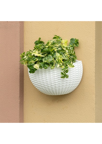 Yeşil Büyük Balkon Askılı Plastik Saksı Sukulent Çiçek Saksısı Rattan Çiçek Saksısı (Yurt Dışından) fiyatları